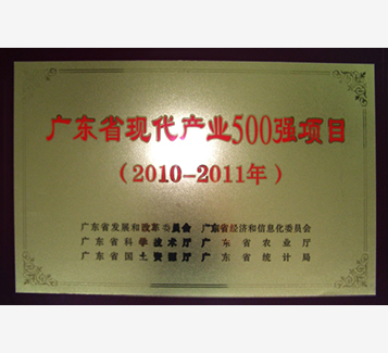 廣東省現代産業500強項目